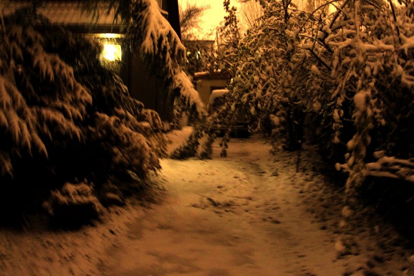 Zima w Łodzi