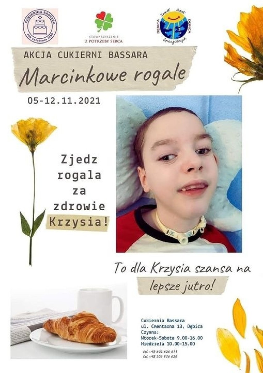 Kup Marcinkowego Rogala w Cukierni Bassara! Akcja charytatywna dla 8-letniego Krzysia z Dębicy