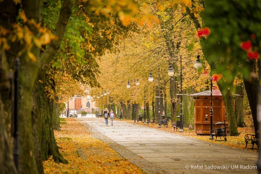 Październik i listopad na ulicach Radomia jest zachwycający....
