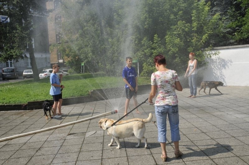 Upalna sobota w Poznaniu.