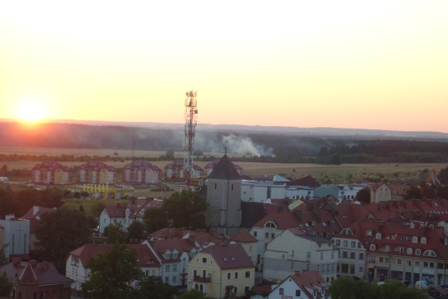 Pożar trawy wybuchł wczoraj około godz. 20 między Polkowicami a Suchą Górną.