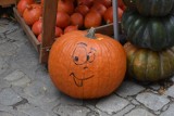 Jak zrobić dyniowy lampion na Halloween? Oto instrukcja [FILM]