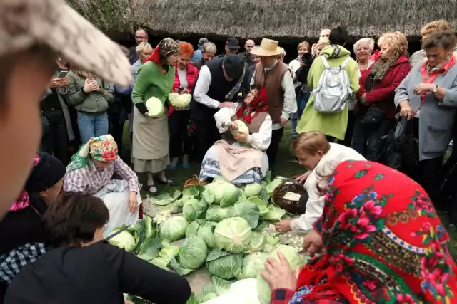 Tradycyjny obrzęd zbiorowego kiszenia kapusty w wykonaniu zespołu obrzędowego z Kocudzy w 2019 roku. Muzeum Wsi Lubelskiej