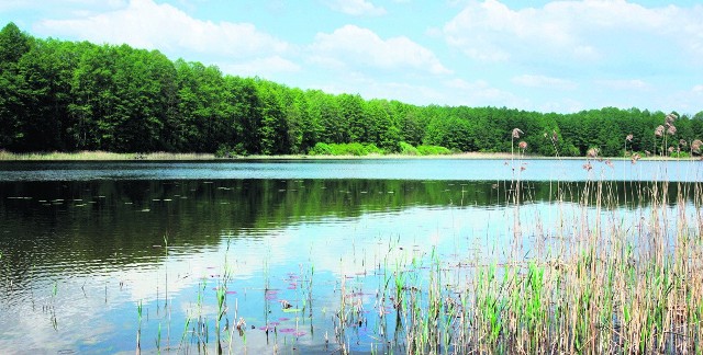 Działki rekreacyjne w Łopuchowie położone są 200 metrów od Jeziora Gackiego