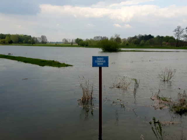 Stan Luciąży w Kłudzicach