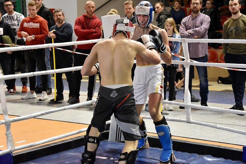 Kickboxing. W Pile odbył się VII Turniej im. Tadeusza Pietrzykowskiego. Zobaczcie zdjęcia