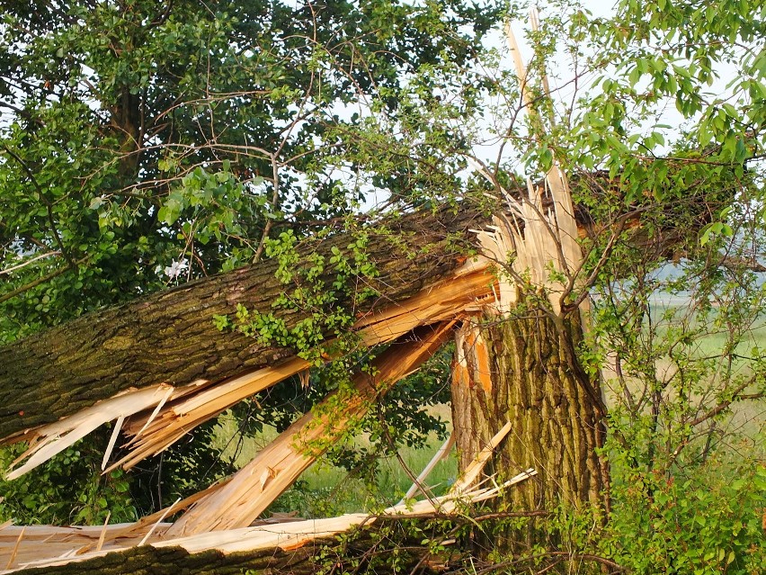 Burze i ulewy: Ponad 150 interwencji strażaków. Najbardziej ucierpiał powiat kraśnicki ZDJĘCIA