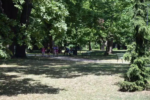 W sobotnie przedpołudnie, 8 lipca, w Parku Miejskim w Skierniewicach można było wypoczywać w cieniu i delektować się spokojem i ciszą
