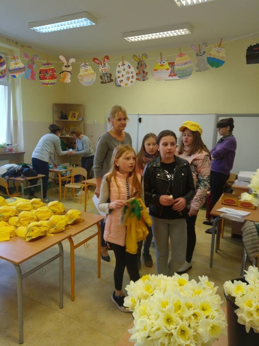 150 wolontariuszy zebrało  ponad 6 tys. złotych. Pola Nadziei pięknie zakwitły w naszym mieście.