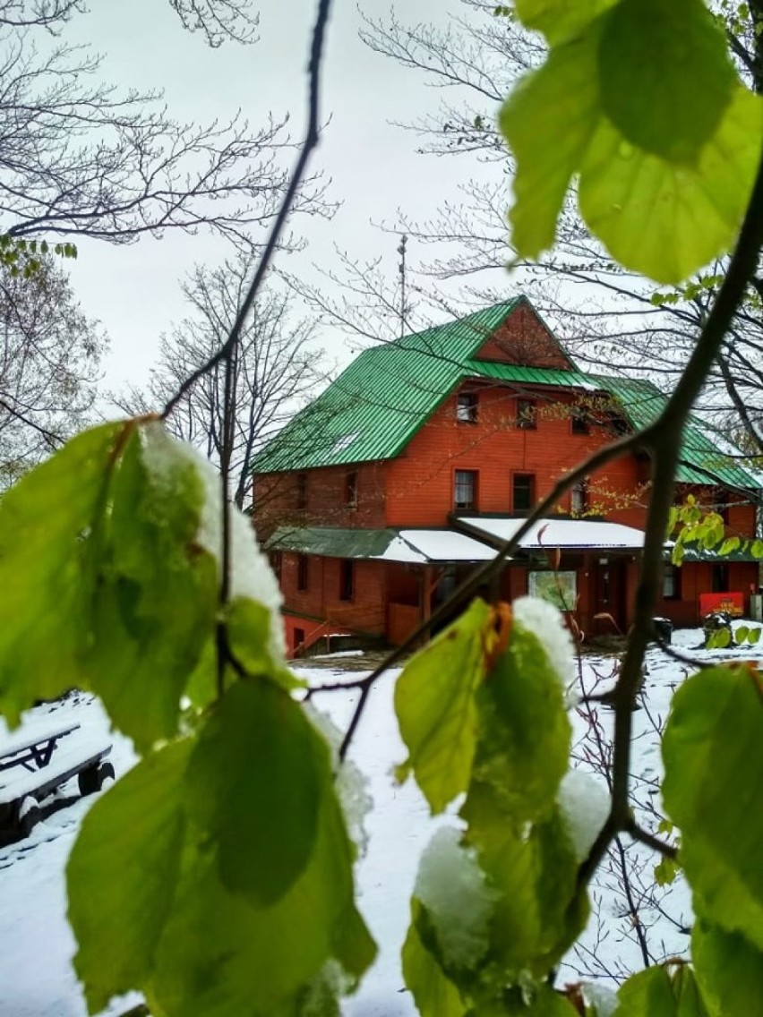 Śnieg w górach nadal trzyma. Niestety, to nie koniec przymrozków