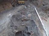 WRZEŚNIA: Poszukiwania w Gozdowie - udało się odnaleźć szczątki niemieckich żołnierzy [INFO]