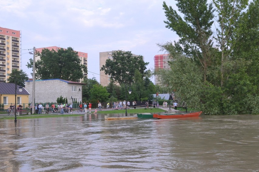 Puławy, 8.06.2010