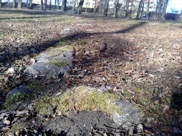 Zdjęcia w parku na Hożej z marca 2011 roku, widoczne są resztki konstrukcji