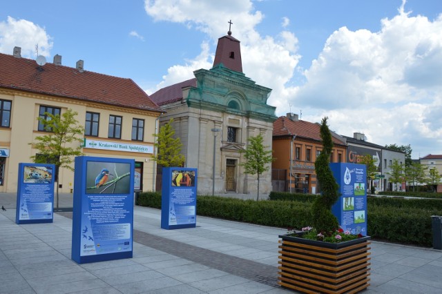 19,5 tys. zł dostanie Parafia Ewangelicko-Augsburska w Tomaszowie Maz. na wykonanie pełnej dokumentacji przedprojektowej i projektowej wraz z programem prac konserwatorskich generalnego remontu kościoła na pl. Kościuszki.