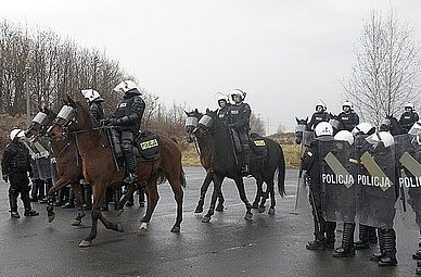 Ćwiczenia policji konnej