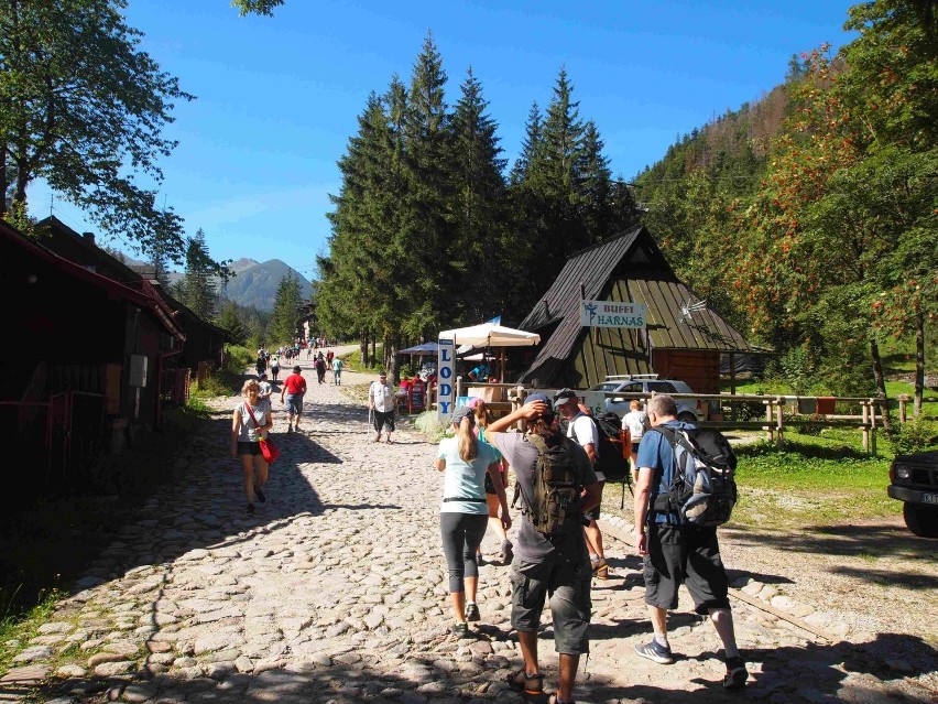 Tatry. Tysiące turystów na górskich szlakach [ZDJĘCIA]
