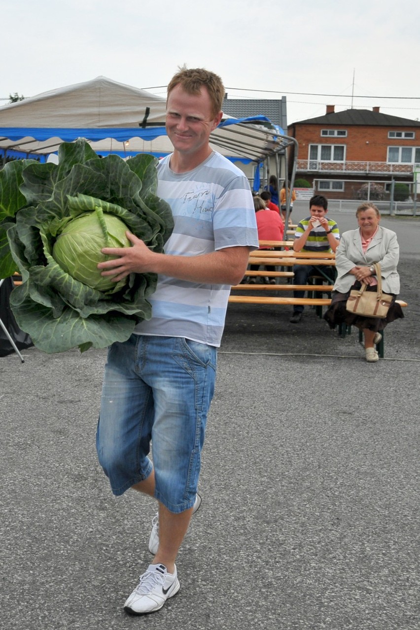 Dzień Nowalijki w Piątku już po raz jedenasty [ZDJĘCIA]