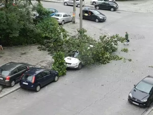 Przy ul. Łódzkiej na samochód przewróciło się drzewo.