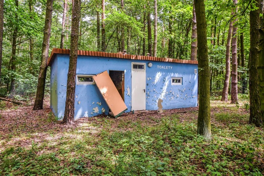 Plaża i ośrodek w Borównie niszczeją: powybijane szyby, śmieci, butelki i puszki po alkoholu... [zdjęcia i wideo]