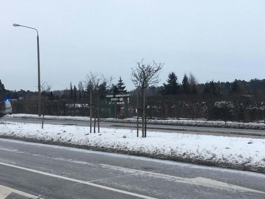 Grudziądz. Mróz zabił w Grudziądzu dwie osoby