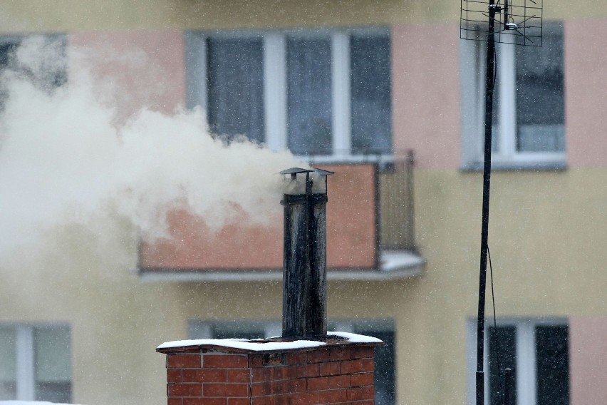 Walczą ze sobą, zamiast ze smogiem nad Krakowem