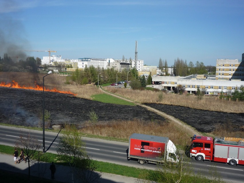 Pożar traw na ul. Szeligowskiego (ZDJĘCIA)