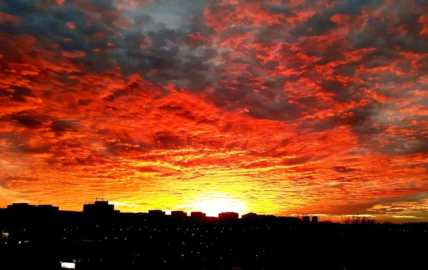 Księżyc w olbrzymiej  lisiej czapie, wilcza pełnia, krwawy...