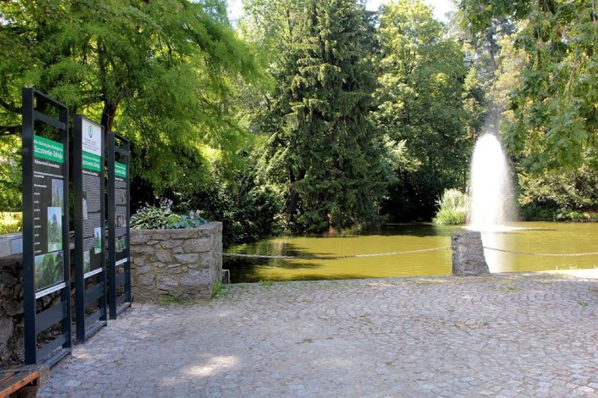 W Parku Szwedzkim w Szczawnie-Zdroju powstała ścieżka edukacyjno-ekologiczna