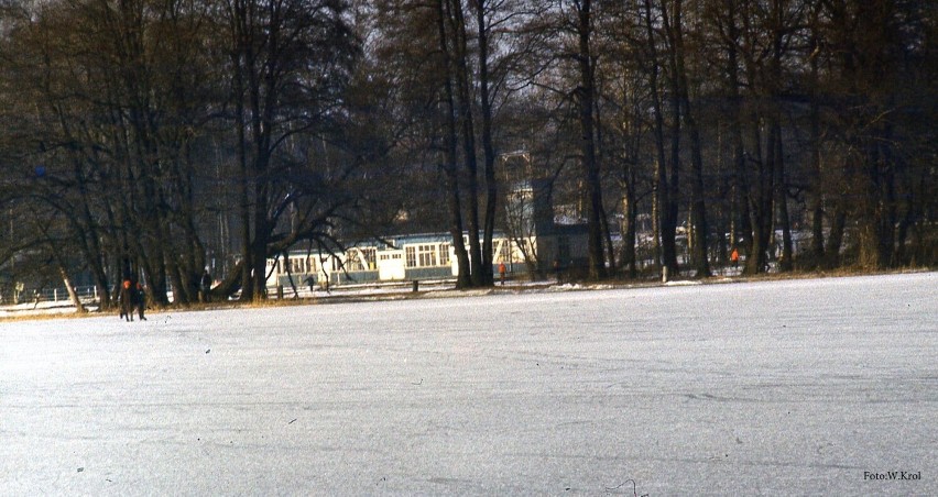 Przystań leśników, 1984