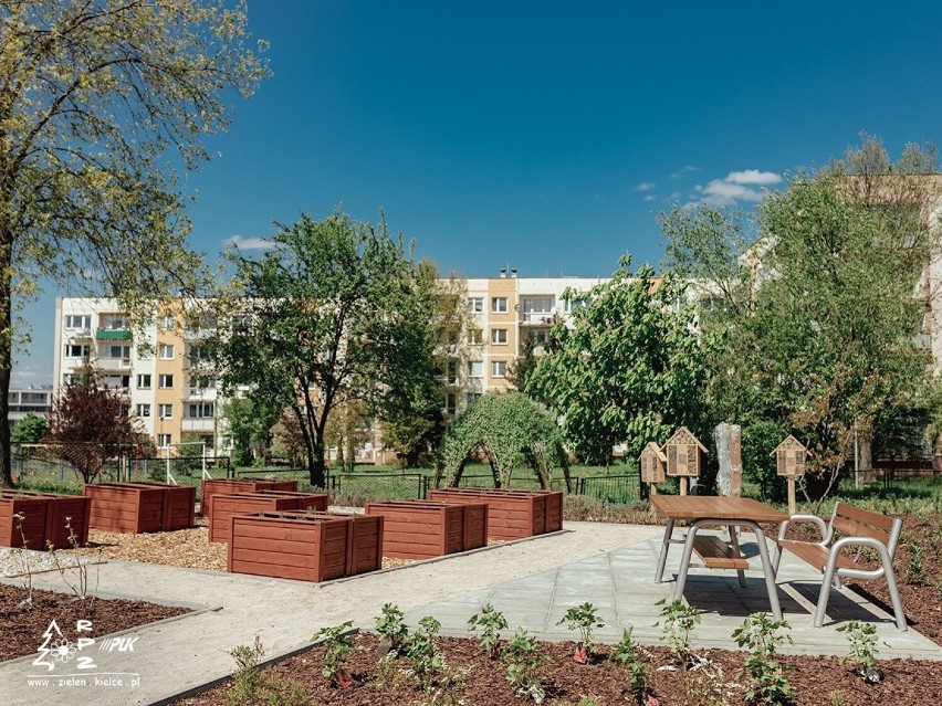Na osiedlu Na Stoku w Kielcach powstał bajkowy ogród. To cudowne miejsce do relaksu i edukacji. Zobacz zdjęcia