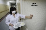 Pomorze: 25 zachorowań na świńską grypę. Nie ma już testów na A/H1N1