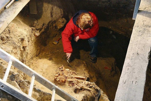 Wykopanie szczątków jednego z biskupów pomezańskich zakończyło prace archeologiczne w kwidzyńskiej katedrze
