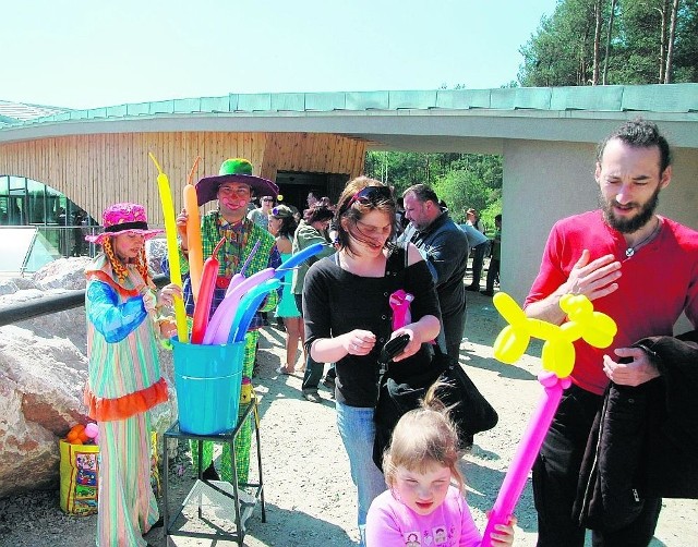 W weekendy po otwarciu słoniarni, poznańskie zoo na Malcie przeżywa oblężenie