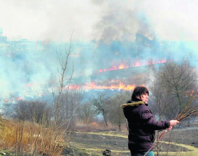 Przy ul. Wyżynnej spłonęło w poniedziałek ok. 10 ha nieużytków