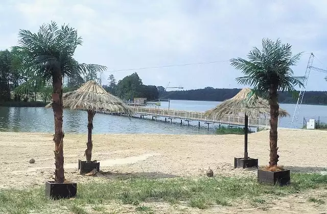 W ubiegłym roku na margonińskiej plaży stanęły palmy
