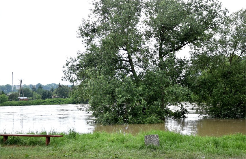 San w Jarosławiu na granicy stanu alarmowego. W środę stan wody wynosił 618 cm [ZDJĘCIA]