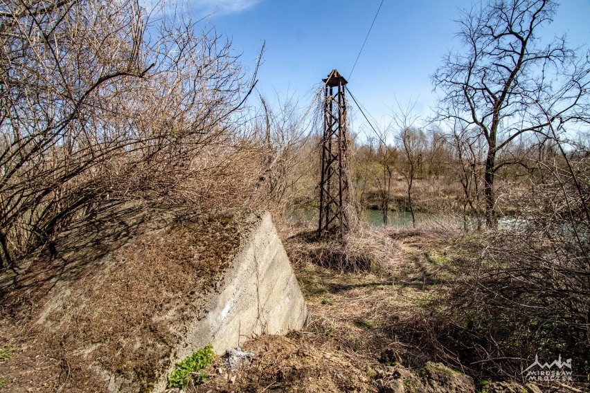 W 1935 roku na promie między Chodenicami a Cikowicami...