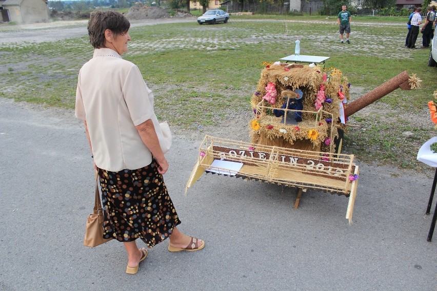 Wojsławice: Festiwal Tradycyjnego Rzemiosła i Kulinariów ZDJĘCIA