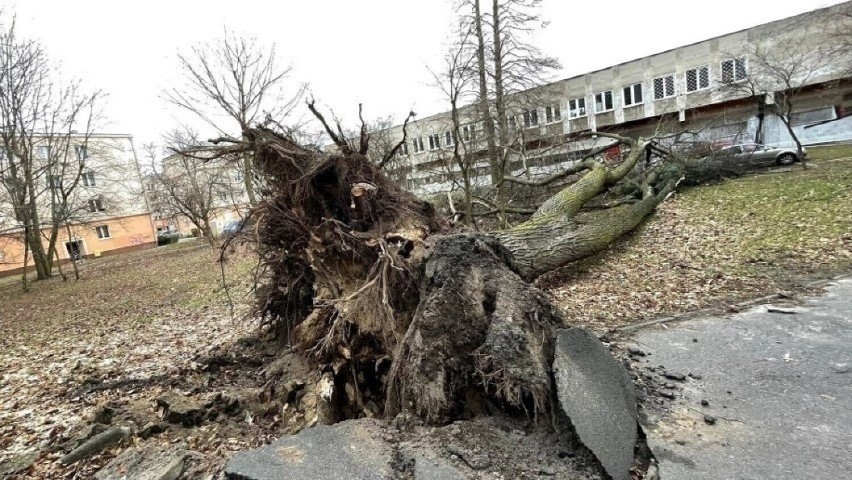 IMGW: "Prognozuje się wystąpienie silnego wiatru o średniej...