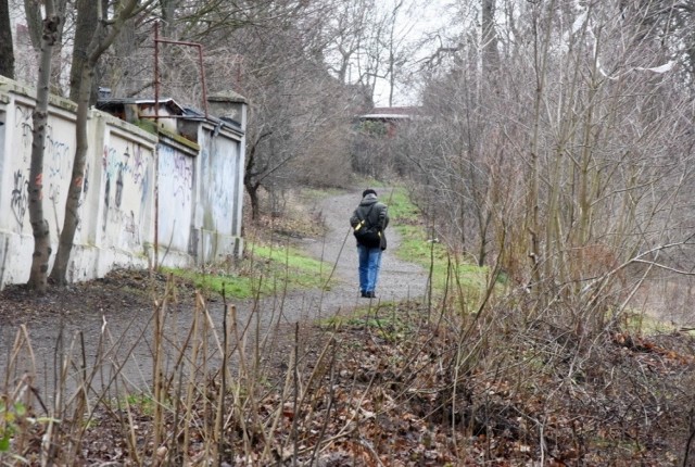 Teren w okolicy Regionalnego Centrum Animacji Kultury służy mieszkańcom jako łącznik, ale i miejsce do spacerów. Szczególnie latem, gdzie jest tu mnóstwo zieleni.