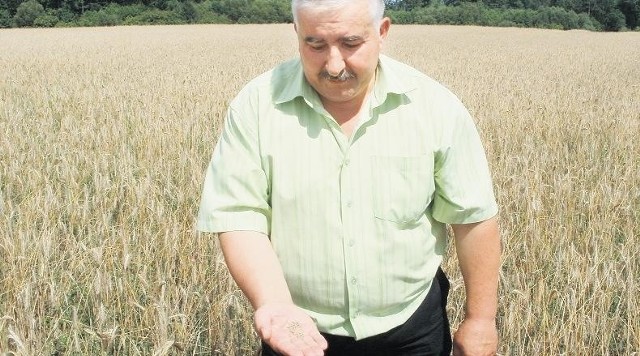 Andrzej Bartczak z Kawnic Kolonii: - W tym roku w naszej gminie plony zbóż będą bardzo słabe