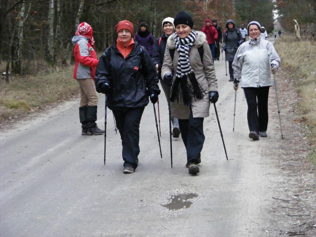 Marsze z kijkami to w Murowanej Goślinie i Puszczy Zielonce już tradycja. Organizowane są nawet zimą i bardzo wczesną wiosną.