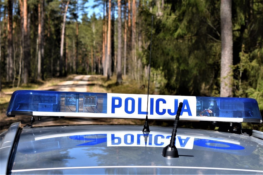 Policjanci z Augustowa zatrzymali mężczyzn, którzy kradli drewno z lasu