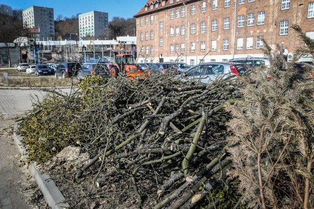 Z terenu położonego za budynkiem Urzędu Marszałkowskiego w Gdańsku zniknęło ponad dwadzieścia drzew. Ich wycinka rozpoczęła się w środę, 27.02.2019r., i zakończyła jeszcze tego samego dnia.