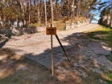 Popularne wejście na plażę w Łebie zostało zamknięte. Burmistrz wyjaśnia przyczyny