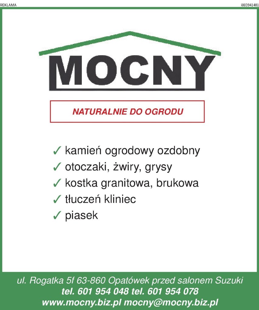 Polecamy