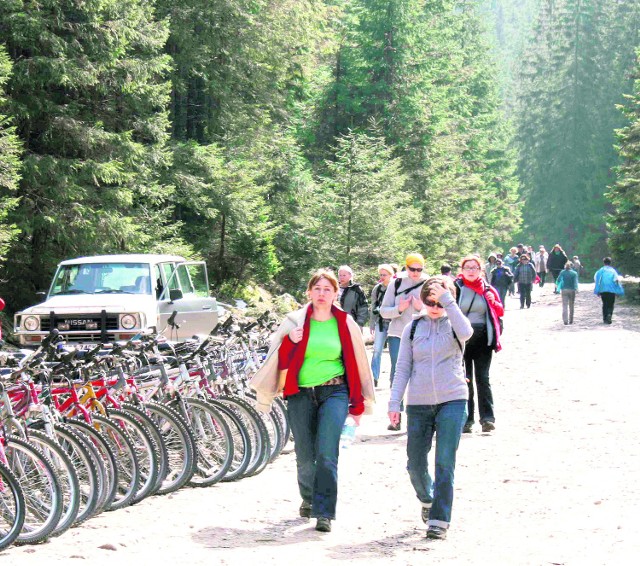 Trasa rowerowa w Dolinie Chochołowskiej jest najbardziej znana wśród turystów. Tysiące osób korzystają z tutejszych wypożyczalni