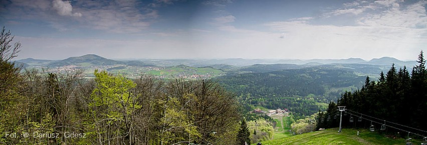 Dzikowiec w Boguszowie-Gorcach