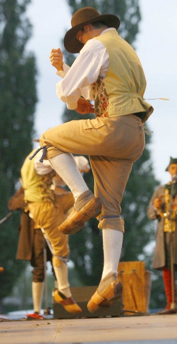Międzynarodowy Festiwal Folkloru w Strzegomiu