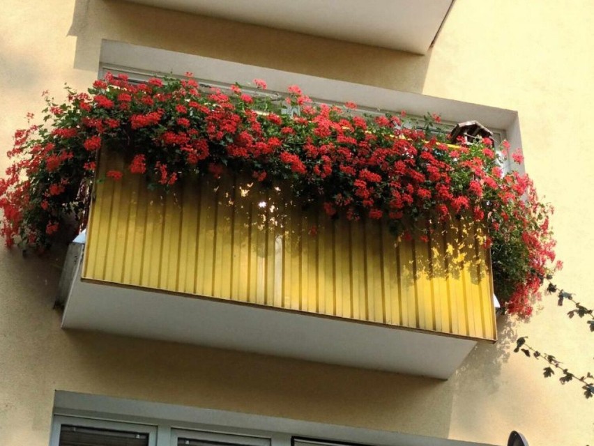 Najpiękniejszy balkon Hrubieszowa